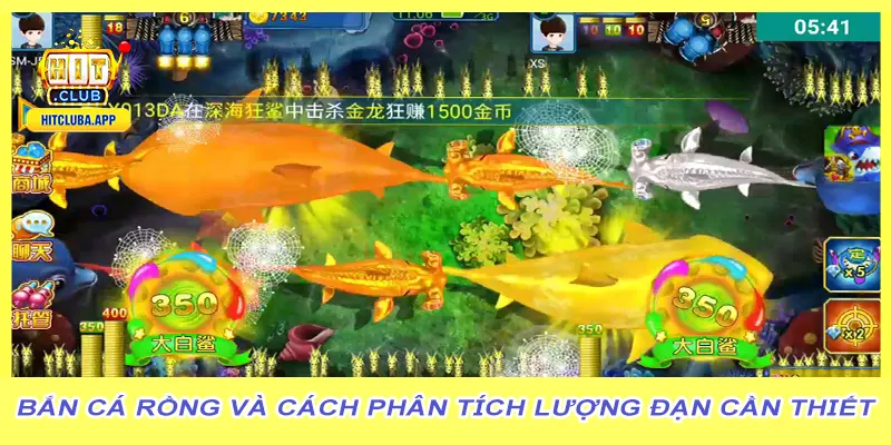 Bắn cá rồng và cách phân tích lượng đạn cần thiết