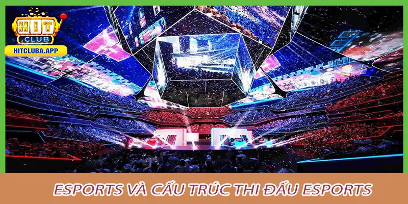 Esports và cấu trúc thi đấu esports