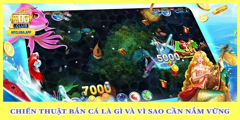 chiến-thuật-bắn-cá-là-gì-và-vì-sao-cần-nắm-vững