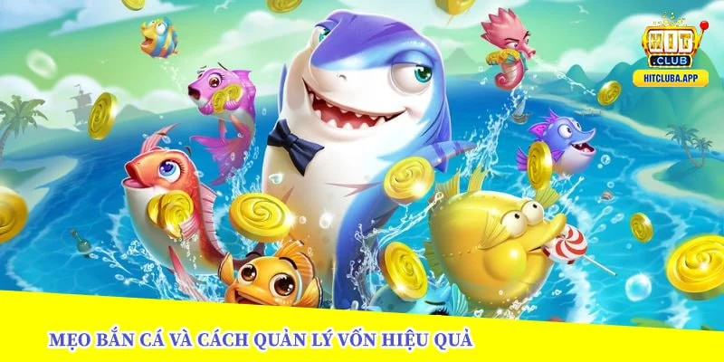mẹo bắn cá và cách quản lí vốn hiệu quả