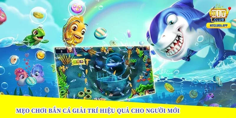 mẹo chơi bắn cá giải trí hiệu quả cho người mới